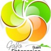 Gojo Enterprise - Logo